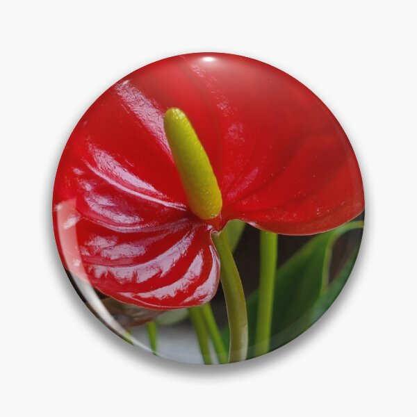 Item preview, Anthurium designed and sold by Firstbloom.
