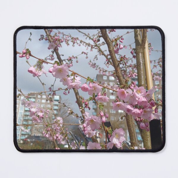 Item preview, Blossoms Season 2024 (III) designed and sold by dawnsm.