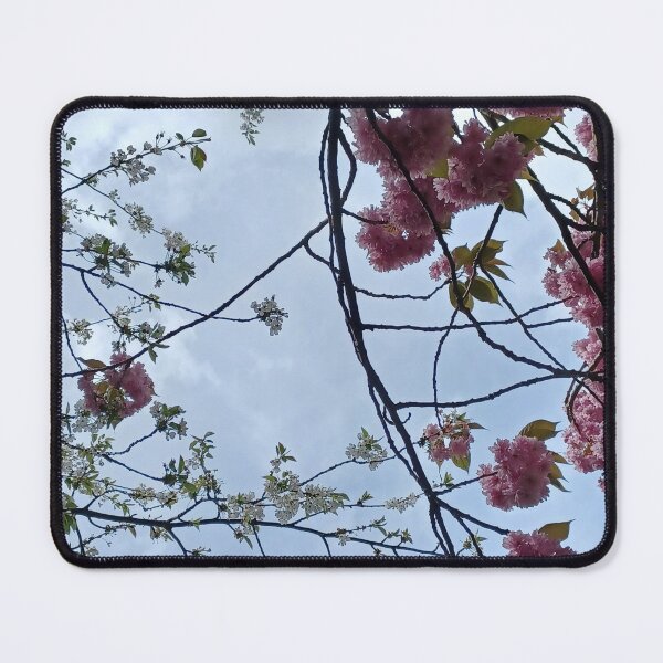 Item preview, Blossoms Season 2024 (V) designed and sold by dawnsm.