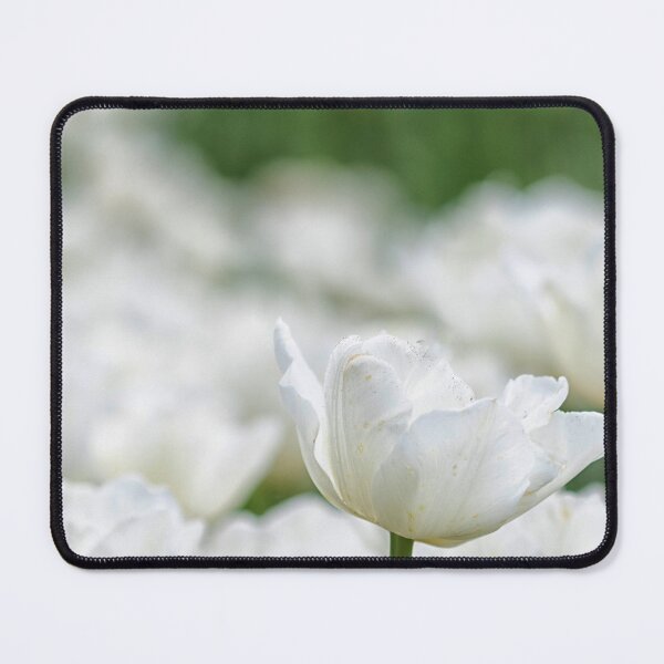 Item preview, White Tulip Field  designed and sold by Ruth Jolly.
