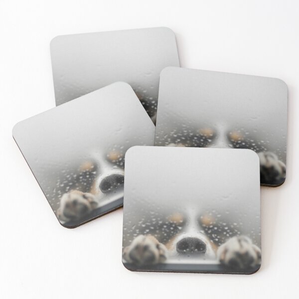Item preview, Let me in dog with paws designed and sold by Brendon987.