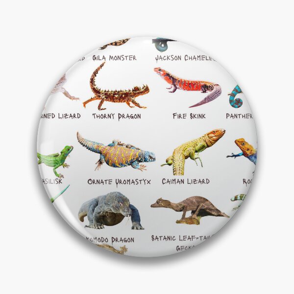 Item preview, Twenty Photos of Legendary Lizards designed and sold by EdmondsLove.