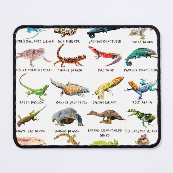 Item preview, Twenty Photos of Legendary Lizards designed and sold by EdmondsLove.