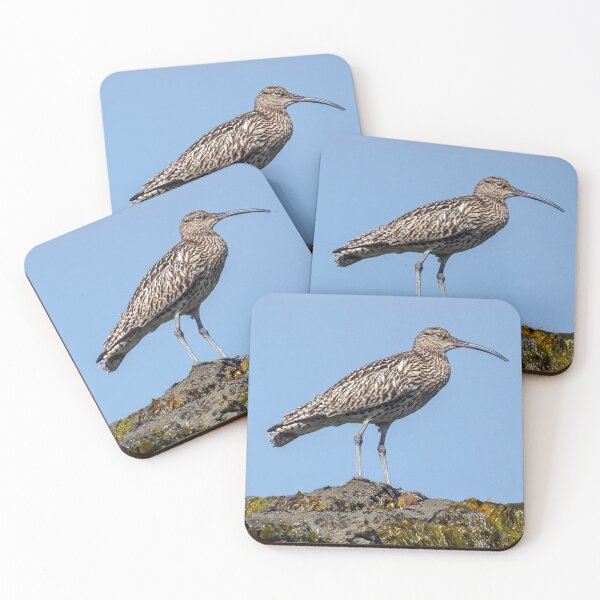 Item preview, Curlew designed and sold by Tom McPherson Photography.
