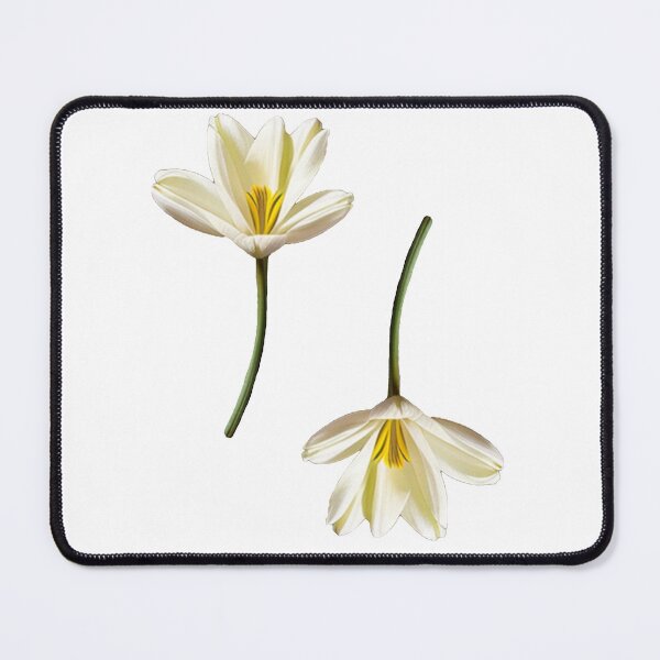 Item preview, Graceful White Lilies designed and sold by FatGiantCat.