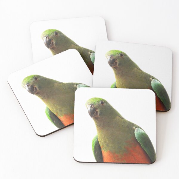 Item preview, King parrot looking at me (female) designed and sold by Jenny  Dyer.