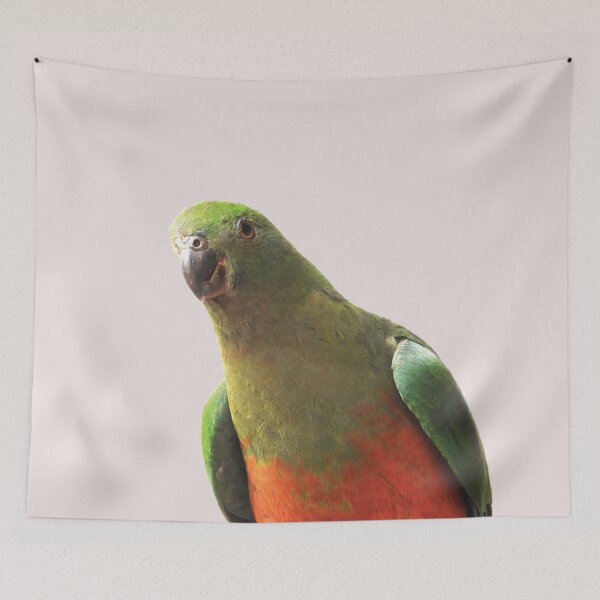 Item preview, King parrot looking at me (female) designed and sold by Jenny  Dyer.