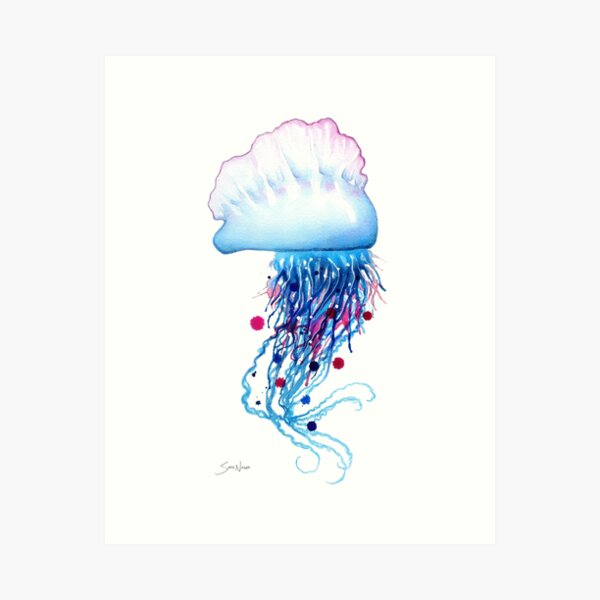 Manowar Jellyfish Art Print