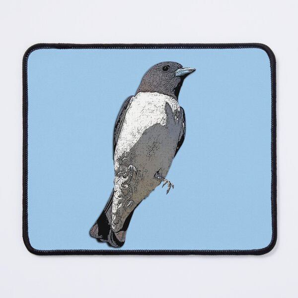 Item preview, White-breasted Woodswallow Color Design designed and sold by designsasstultd.