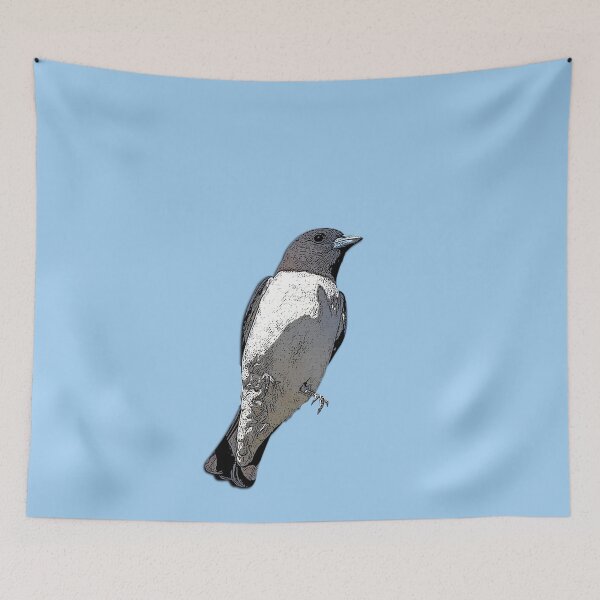 Item preview, White-breasted Woodswallow Color Design  designed and sold by designsasstultd.