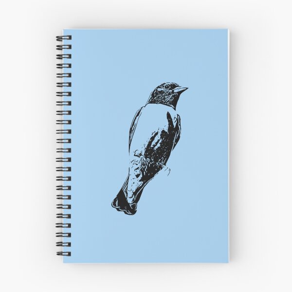 Item preview, White-breasted Woodswallow Black Design  designed and sold by designsasstultd.