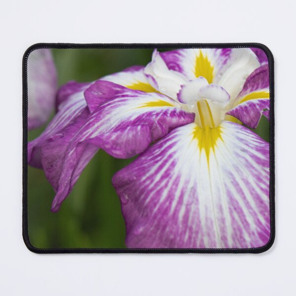 Item preview, Twilight Harmony: Breeze-Kissed Beauty designed and sold by DoodlingPrints.