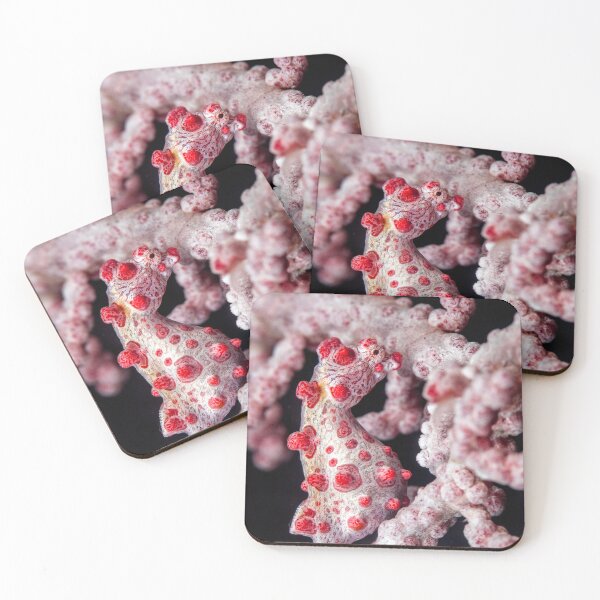 Item preview, Pygmy seahorse designed and sold by David Wachenfeld.
