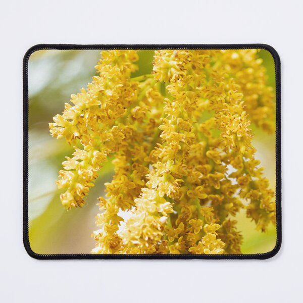 Item preview, Golden Cascades: Evening's Gentle Whisper designed and sold by DoodlingPrints.