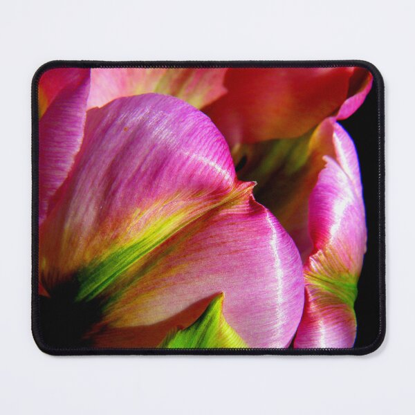 Item preview, Tulip designed and sold by Tamara Travers.