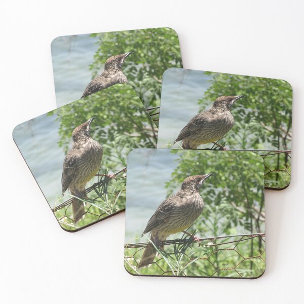Item preview, Red Wattlebird at Bondi NSW designed and sold by Amanda MichelleDesigns.