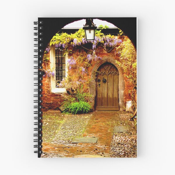 Item preview, Mysterious Door designed and sold by Charmiene Maxwell-Batten.