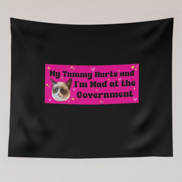 Item preview, My Tummy Hurts and I’m Mad at the Government - Funny Cat Bumper designed and sold by PixVib.