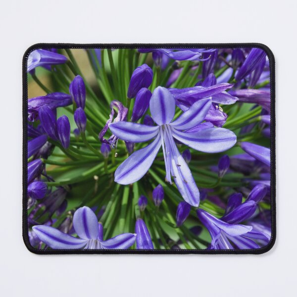 Item preview, Natural Beauty: Vibrant Purple Flowers in the SAPA Mountains designed and sold by franck380.