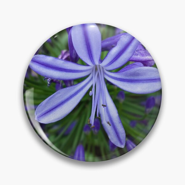 Item preview, Natural Beauty: Vibrant Purple Flowers in the SAPA Mountains designed and sold by franck380.