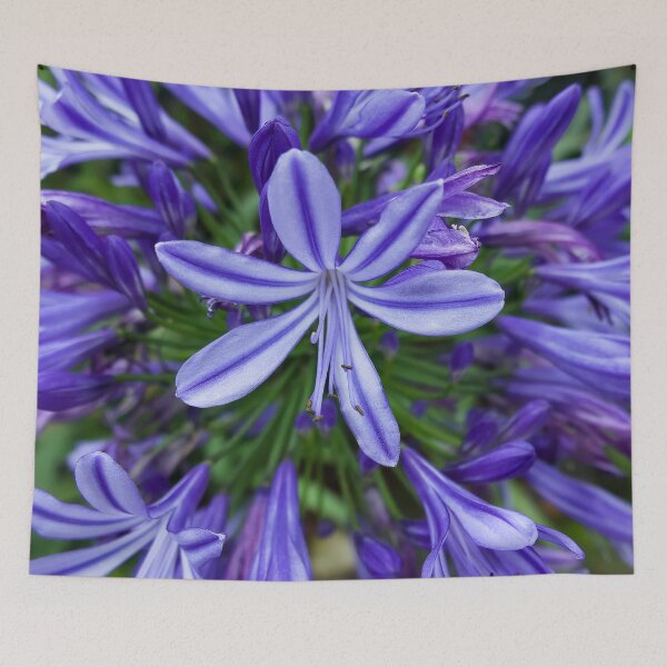 Item preview, Natural Beauty: Vibrant Purple Flowers in the SAPA Mountains designed and sold by franck380.