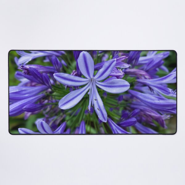 Item preview, Natural Beauty: Vibrant Purple Flowers in the SAPA Mountains designed and sold by franck380.
