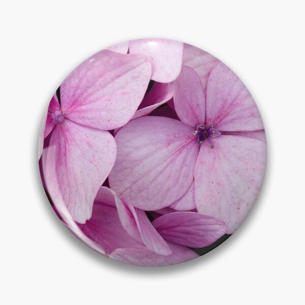 Item preview, Pastel Charm: Pink Flowers in the Heart of SAPA designed and sold by franck380.