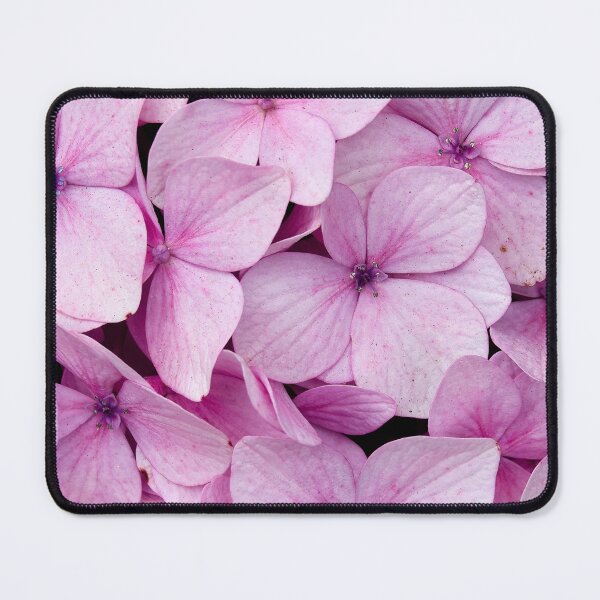 Item preview, Pastel Charm: Pink Flowers in the Heart of SAPA designed and sold by franck380.
