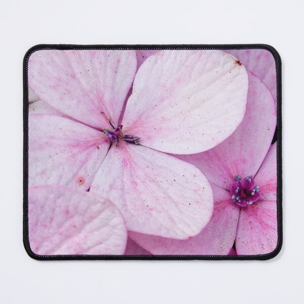 Item preview,  Pastel Charm: Pink Flowers in the Heart of SAPA designed and sold by franck380.