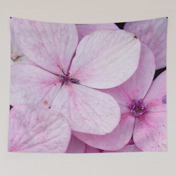 Item preview,  Pastel Charm: Pink Flowers in the Heart of SAPA designed and sold by franck380.