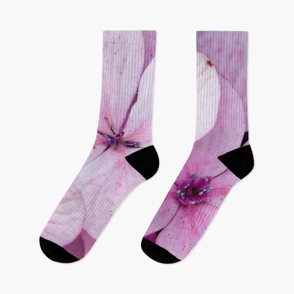 Item preview,  Pastel Charm: Pink Flowers in the Heart of SAPA designed and sold by franck380.
