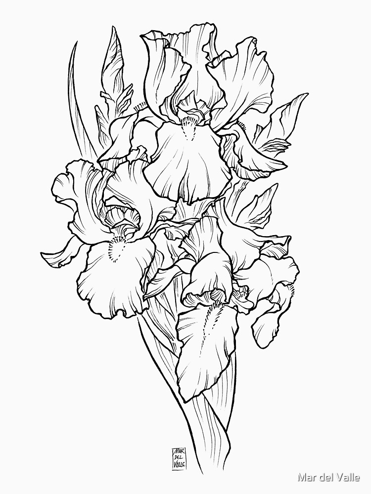 Irises - Black Line by mardelvallearts