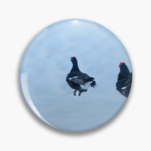 Item preview, Black grouse designed and sold by sandrosprecher.