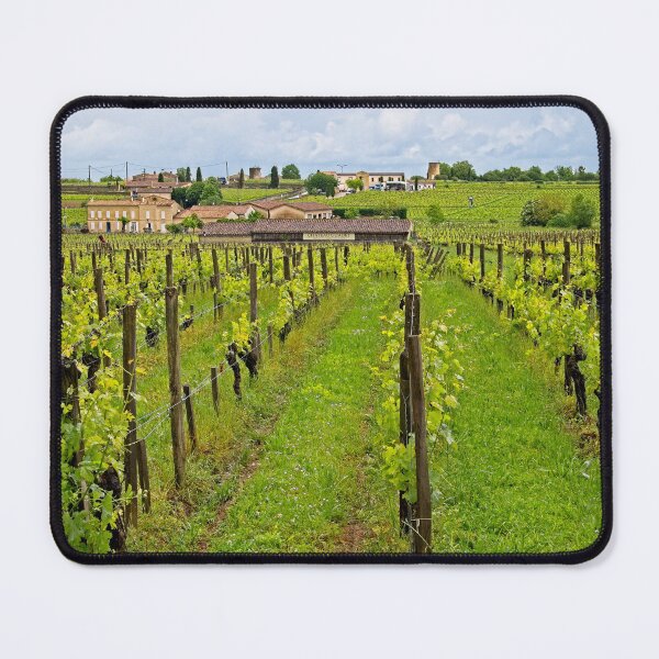 Item preview, Grape Vines in a St. Emilion vinyard, Bordeaux, France designed and sold by Martyn R Arnold Fine Art Nature & Landscape Photography.