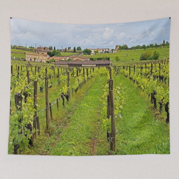 Item preview, Grape Vines in a St. Emilion vinyard, Bordeaux, France designed and sold by Martyn R Arnold Fine Art Nature & Landscape Photography.