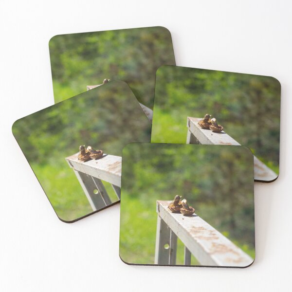 Item preview, Mushroom Turist Park Samokov bulgaria designed and sold by oleg gendel.