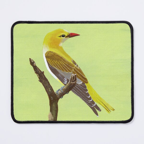 Item preview, European loriot perched on a dead branch designed and sold by BrianEydenArt.