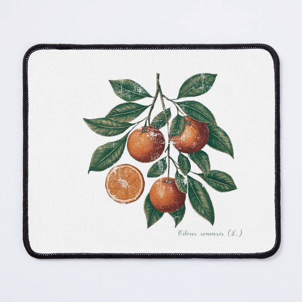 Item preview, Vintage Oranges designed and sold by Pink Dreams.