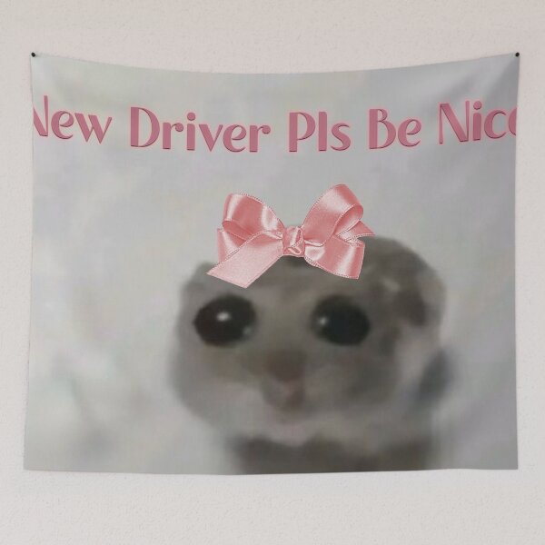 Item preview, new driver pls be nice designed and sold by lanamarais.