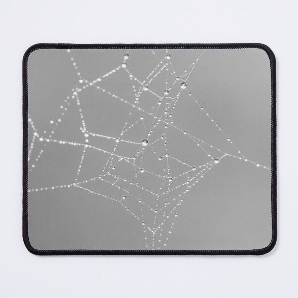 Item preview, Cobweb designed and sold by photobytableau.