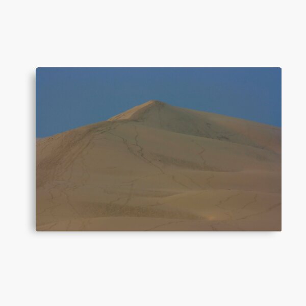 Dunes de Pyla Leinwanddruck