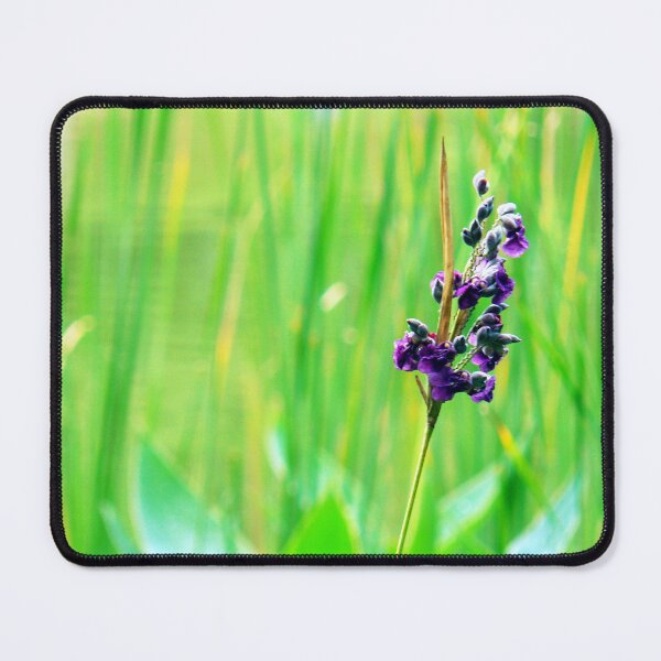 Item preview, Simplicity designed and sold by Tamara Travers.