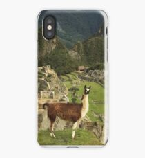 Llama at Machu Picchu iPhone Case