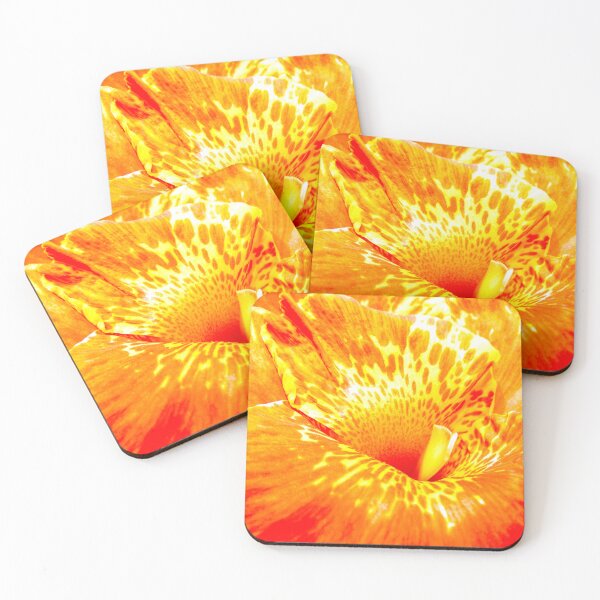 Item preview, Colour Eruption designed and sold by Tamara Travers.