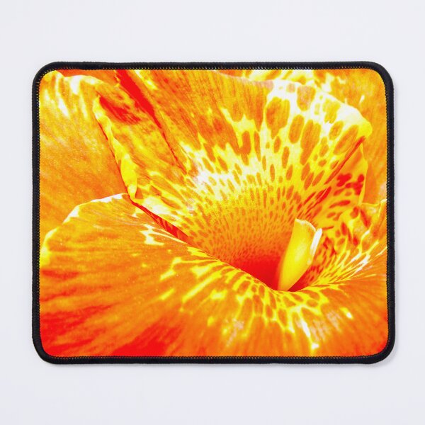 Item preview, Colour Eruption designed and sold by Tamara Travers.