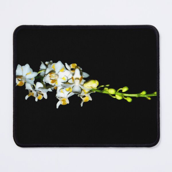 Item preview, A touch of tropics designed and sold by Tamara Travers.