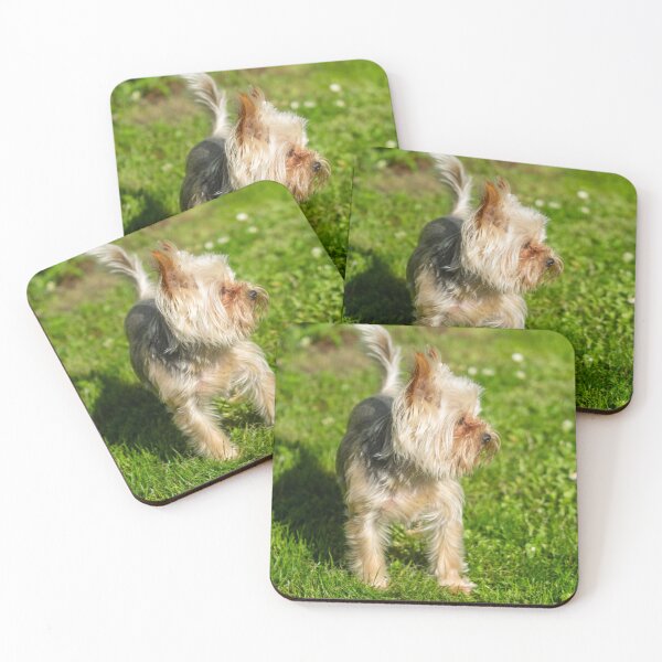 Item preview, dog Turist Park Samokov bulgaria designed and sold by oleg gendel.