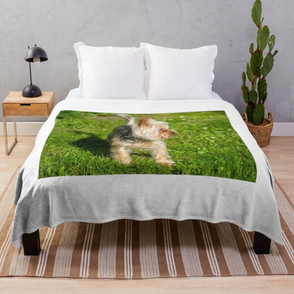 Item preview, dog Turist Park Samokov bulgaria designed and sold by oleg gendel.