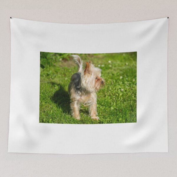 Item preview, dog Turist Park Samokov bulgaria designed and sold by oleg gendel.