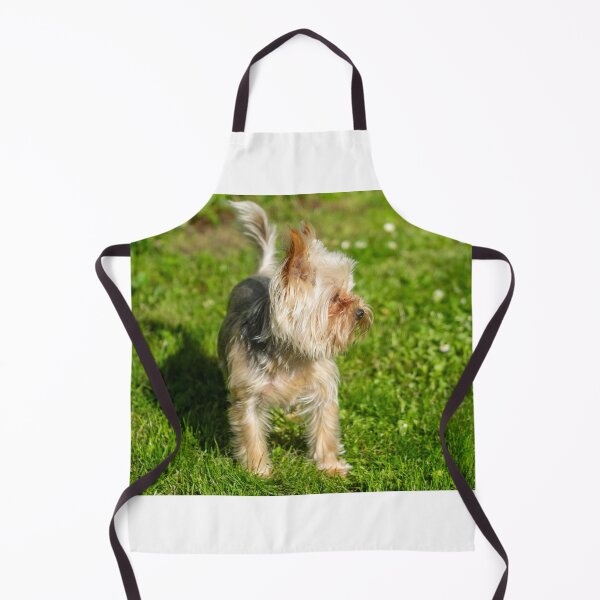 Item preview, dog Turist Park Samokov bulgaria designed and sold by oleg gendel.